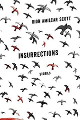 INSURRECTIONS: STORIES